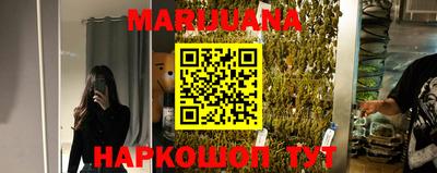 соль ск Новозыбков