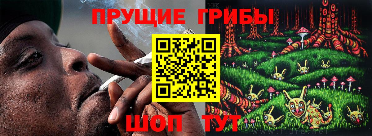 Сунжа  Псилоцибиновые грибы Psilocybe  Вход с VPN  Псилоцибиновые грибы MAGIC MUSHROOMS 