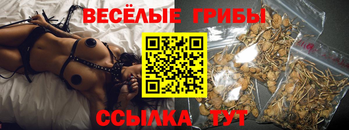 Галлюциногенные грибы прущие грибы Сунжа